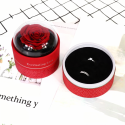 Cúpula rosa eterna
